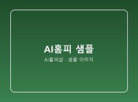 제작 사례